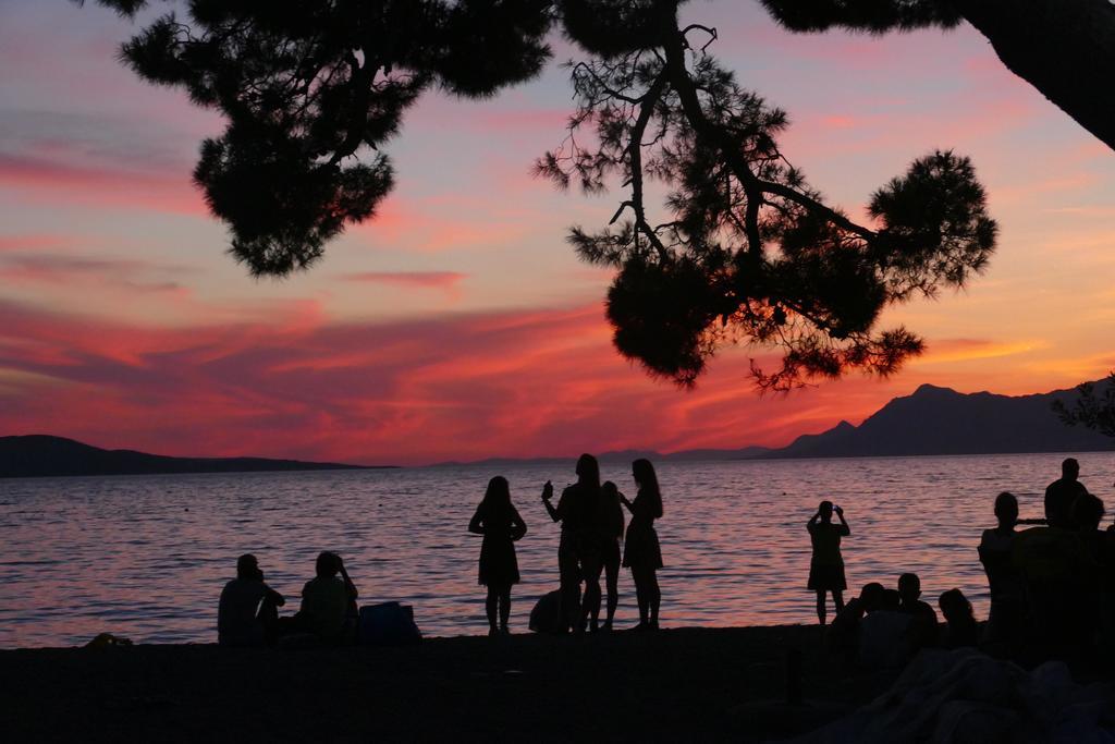 Villa Abeona Makarska Dış mekan fotoğraf