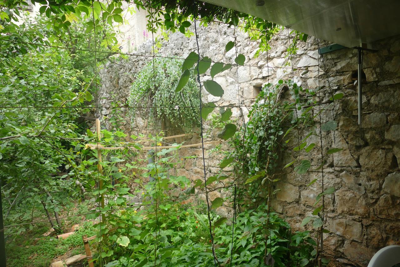 Villa Abeona Makarska Dış mekan fotoğraf